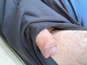 Photos de bites : R&eacute;veil matinal - 1er contribution 