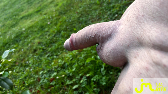 bites de chil