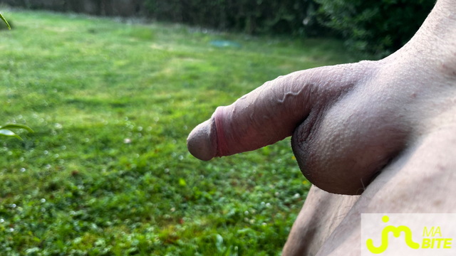 bites de chil