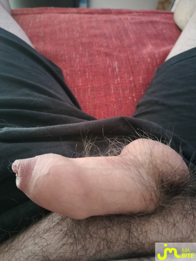 bites de Geogeo40 