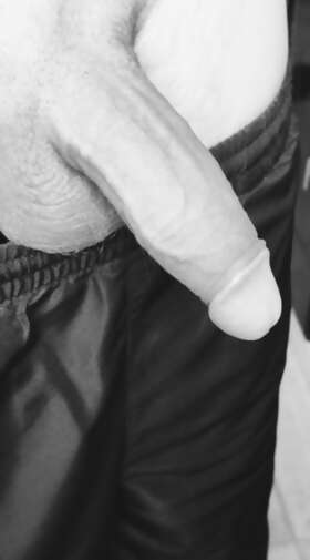 Photos de bites : Mon jouet 