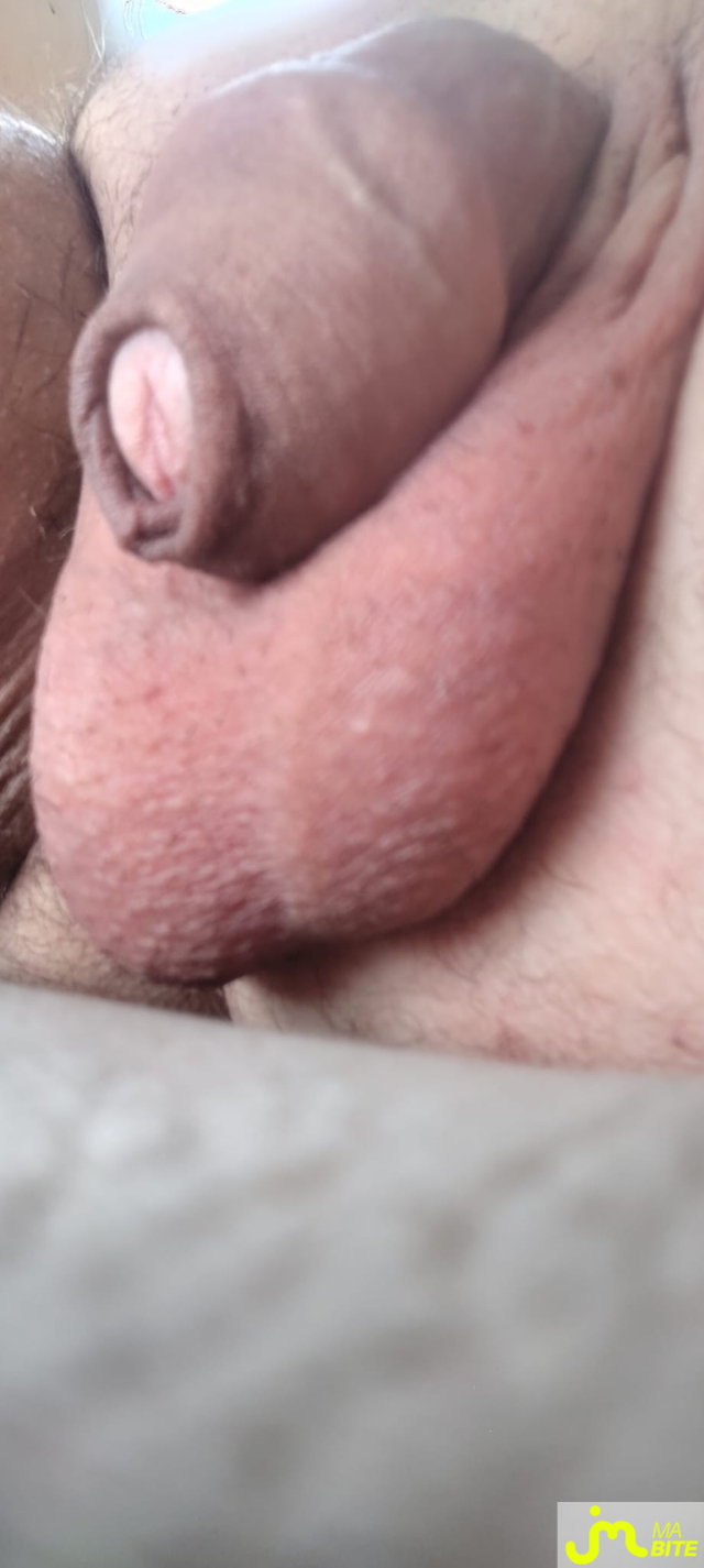 bites de Xof12
