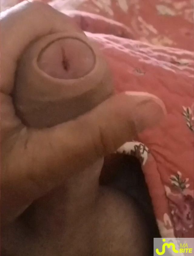 bites de alpille013