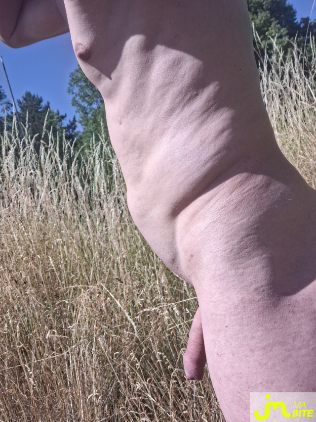 bites de Naturist54