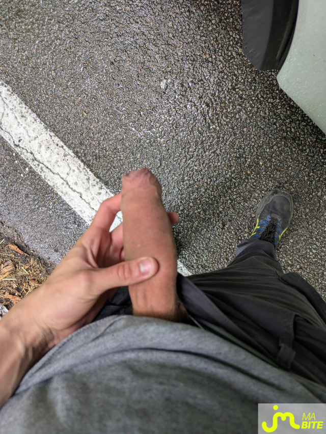 bites de Pr&eacute;puce86