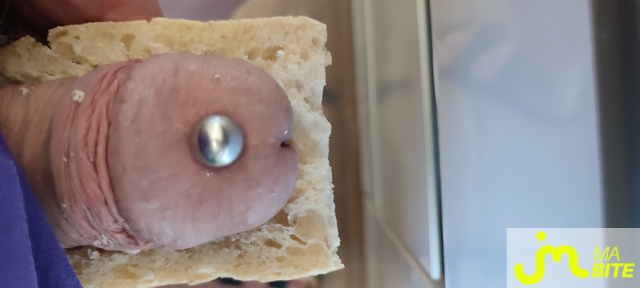 bites de Piercing 