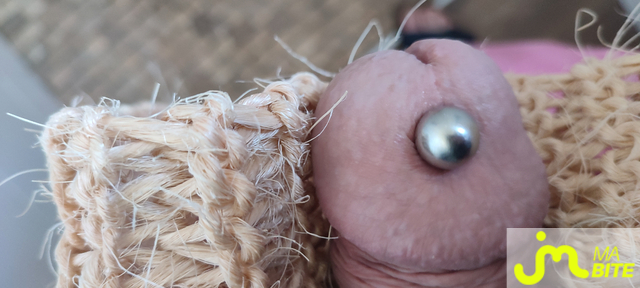 bites de Piercing 