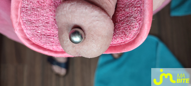 bites de Piercing 