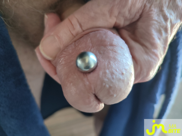 bites de Piercing 