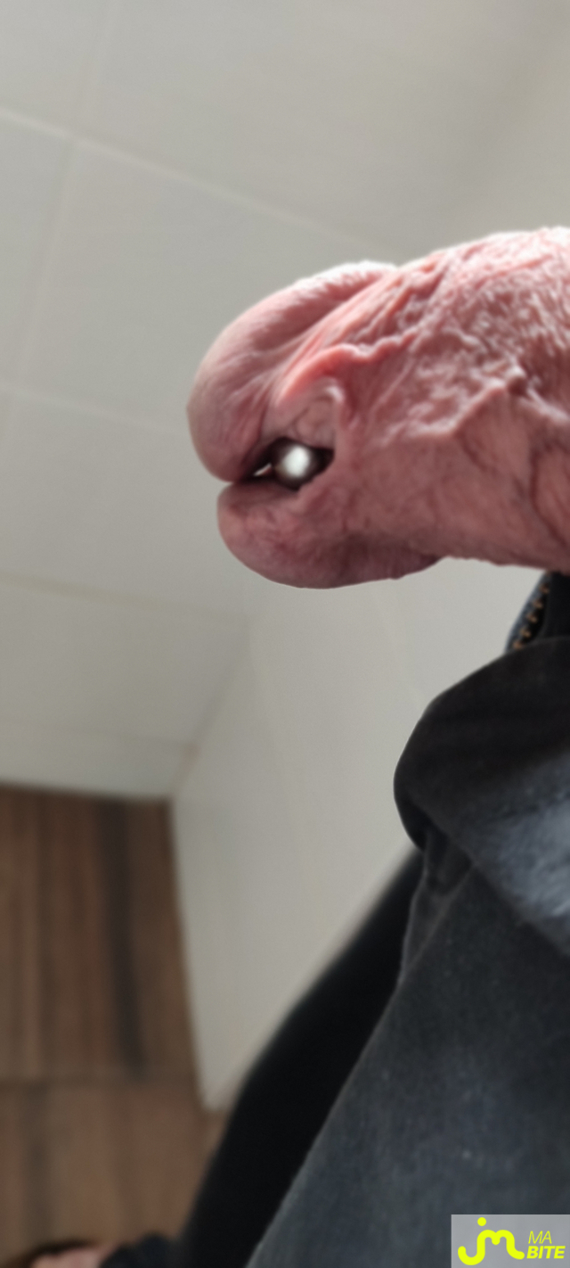 bites de Piercing 