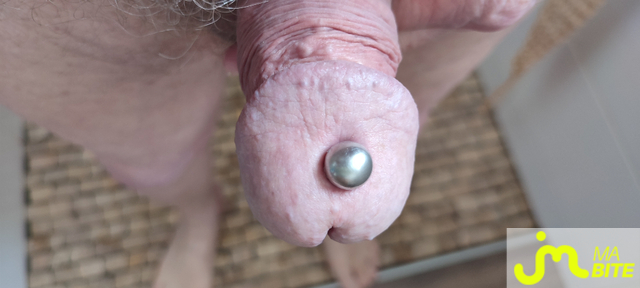 bites de Piercing 