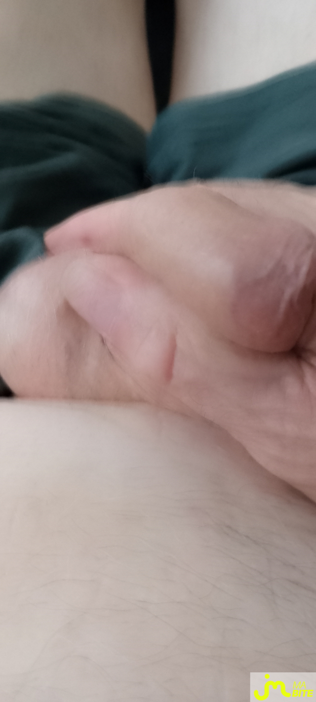 bites de Veys 59