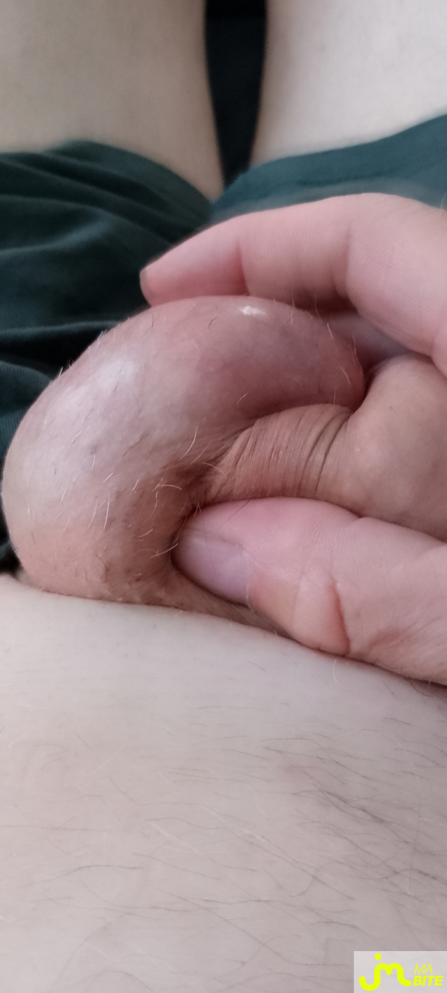 bites de Veys 59