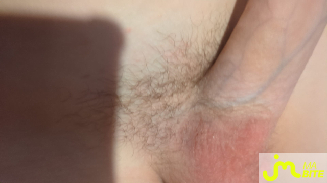 bites de Xvz12