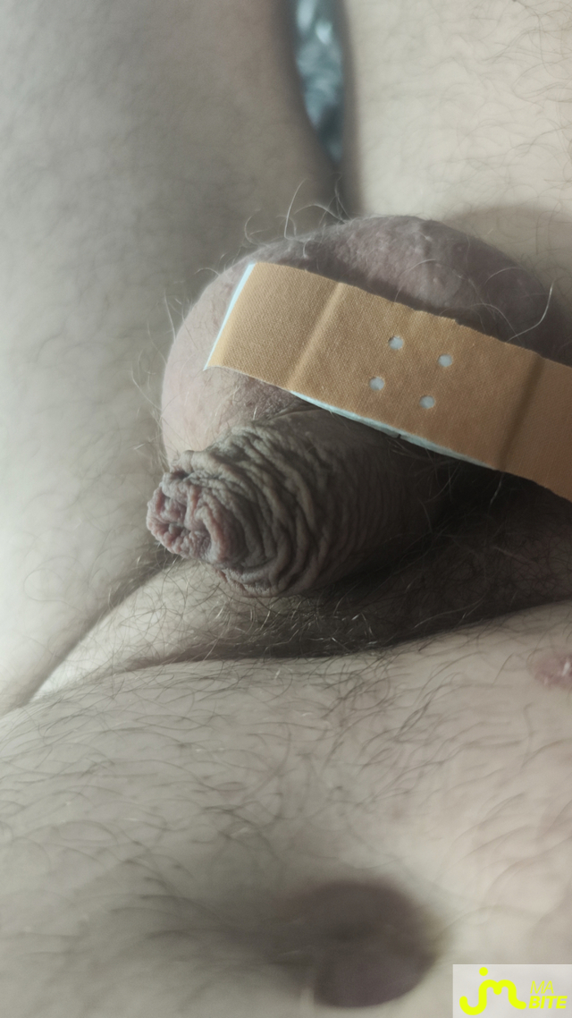 Photos de bites : Help