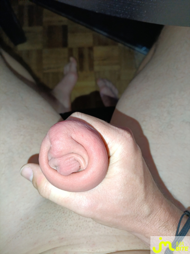 bites de lebidol