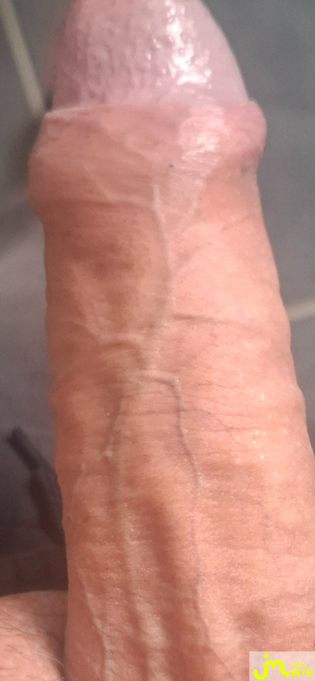 bites de Domic