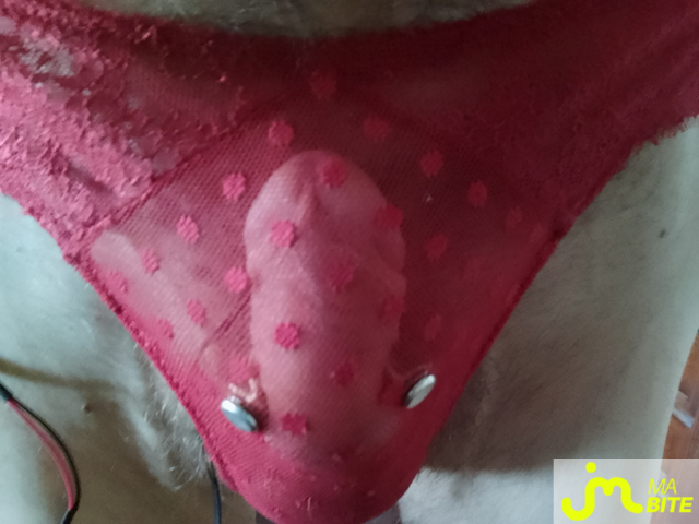 bites de Charlingerie