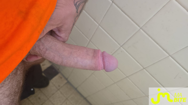 bites de Vertical5010