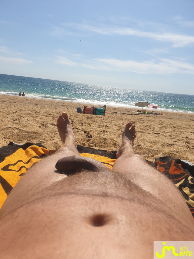 Photos de bites : A la plage
