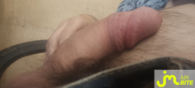 bites de stevo49100
