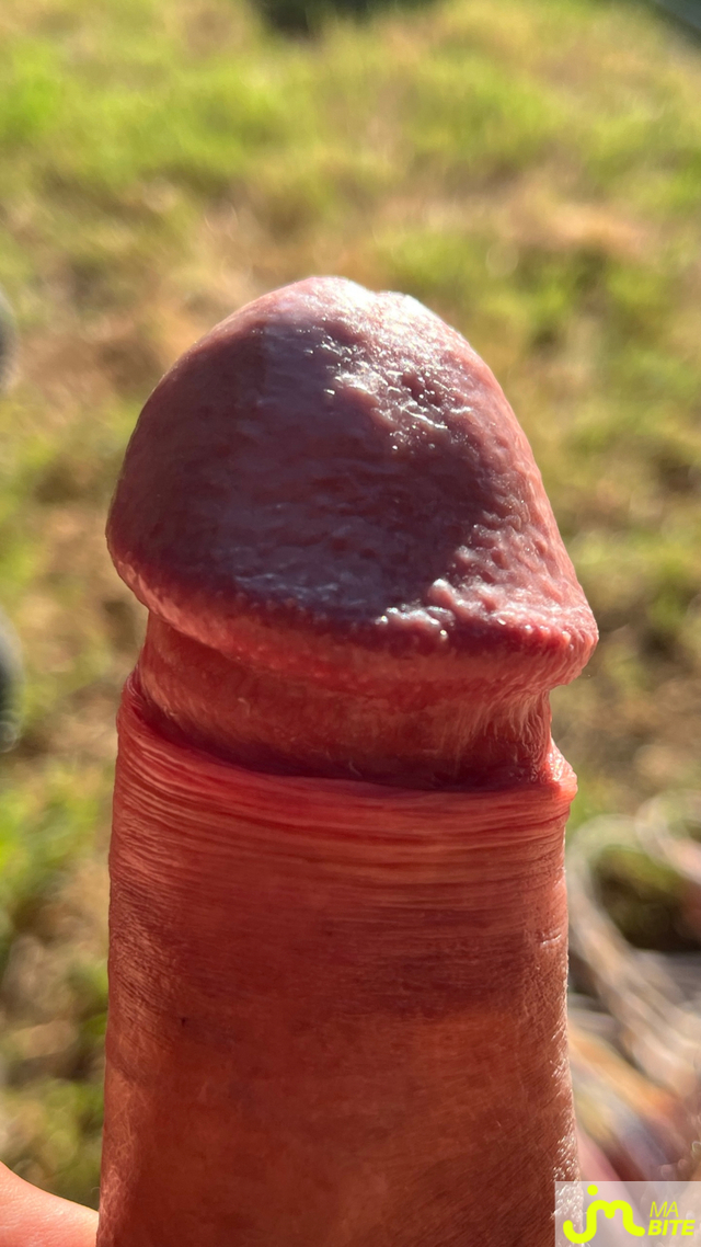 bites de Jessito