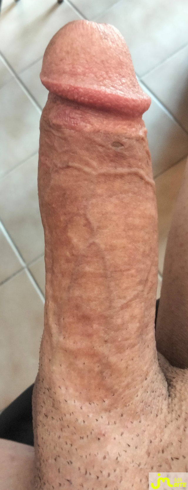 bites de Dragon 26 