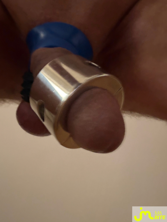 bites de Mau6950