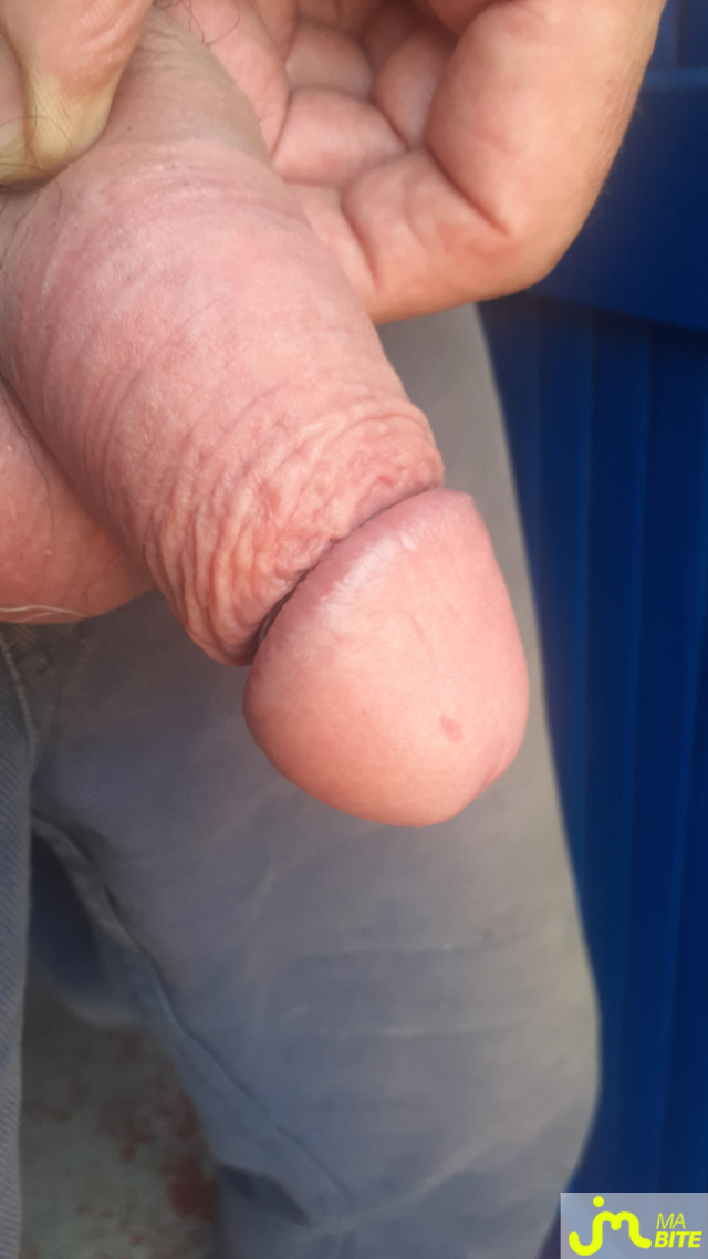 bites de 4couleurs