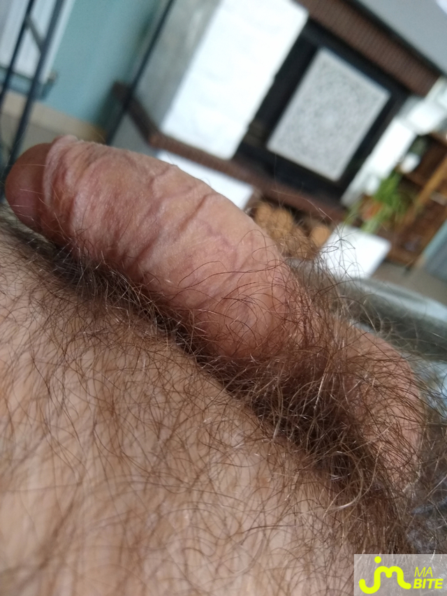 bites de Nono62138