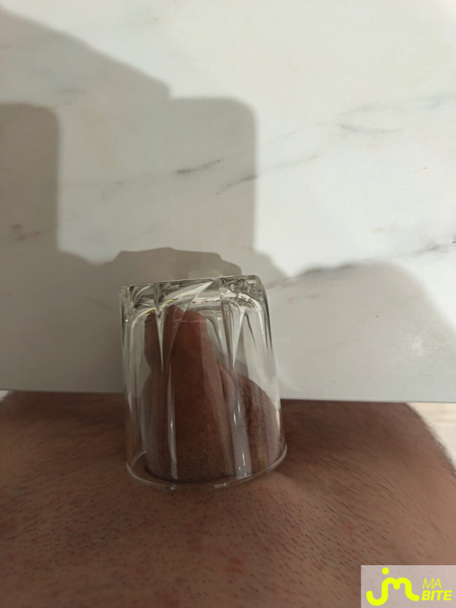 Photos de bites : Transparence 