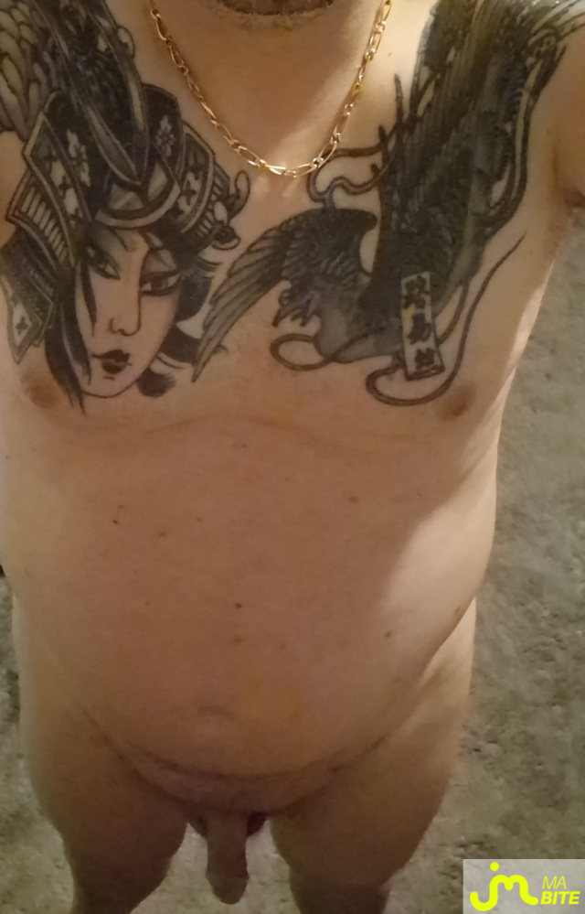 bites de Jeff3545