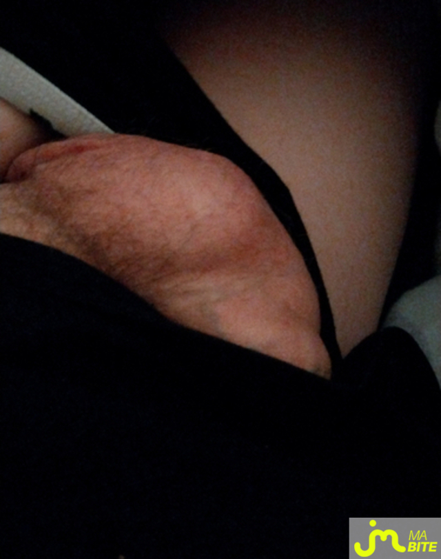 bites de J'adore &ccedil;a 