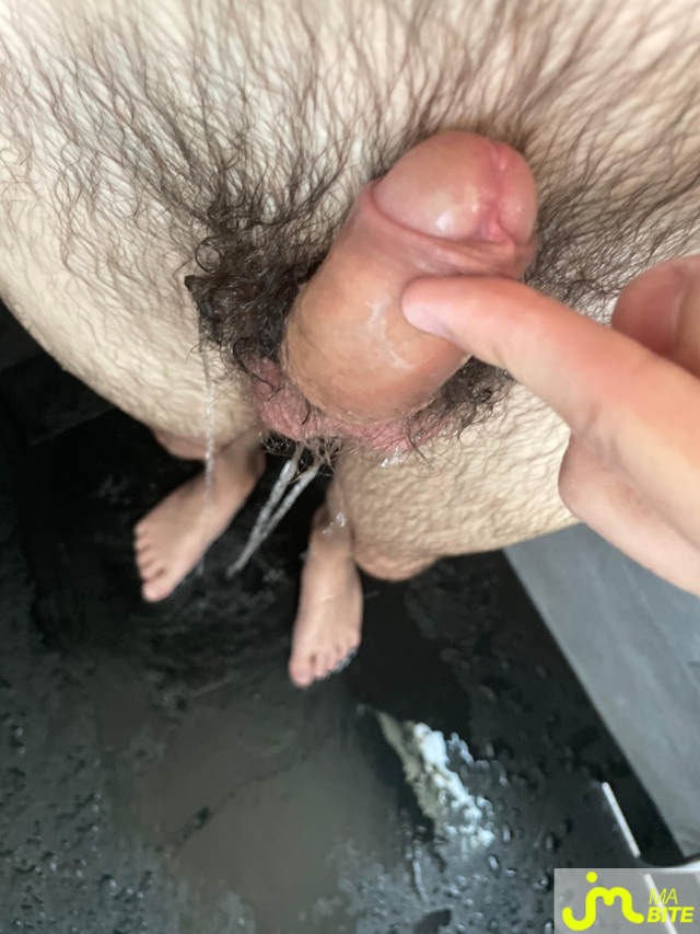 bites de Nodail2