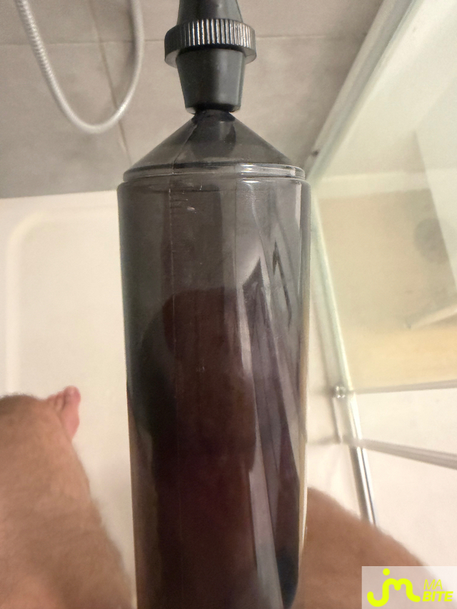 bites de Mau6950