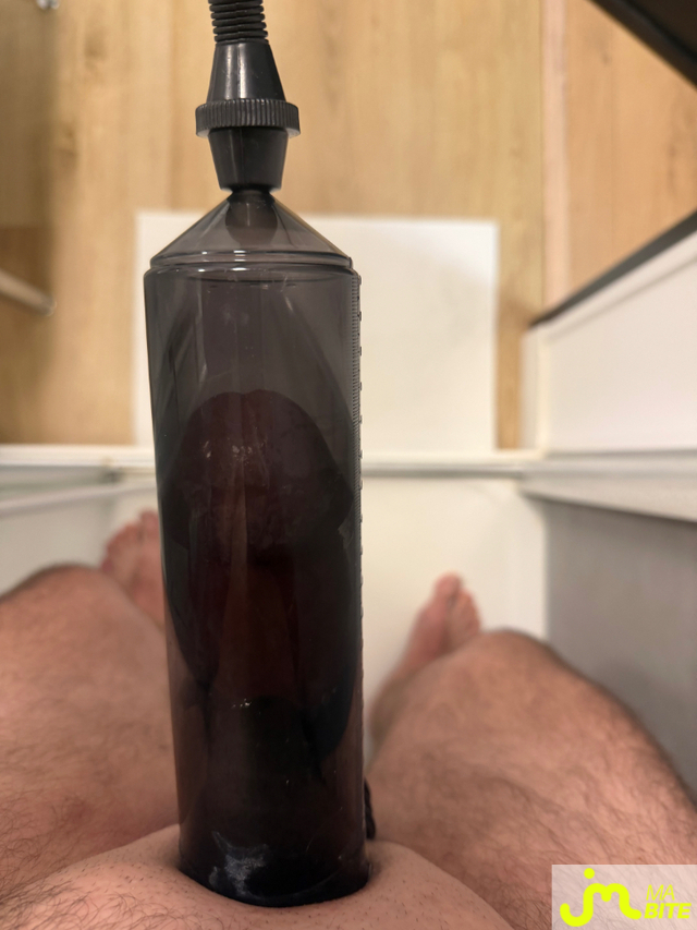 bites de Mau6950