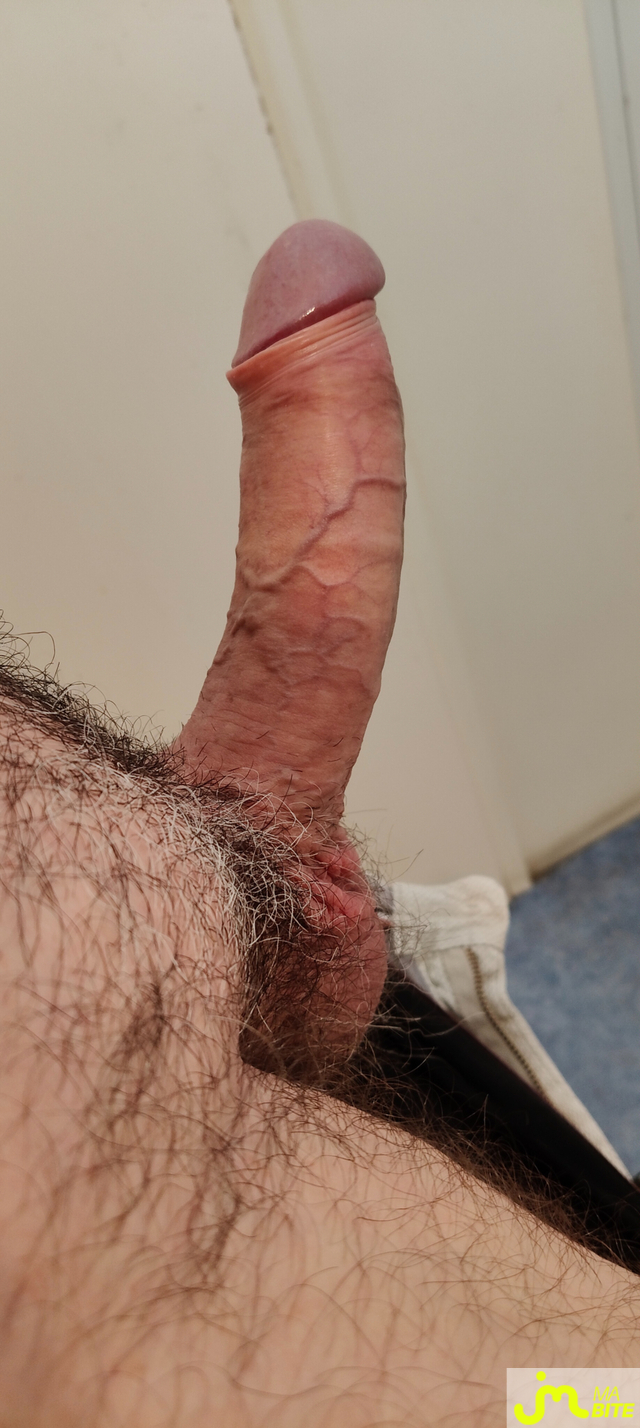 bites de Solo2841