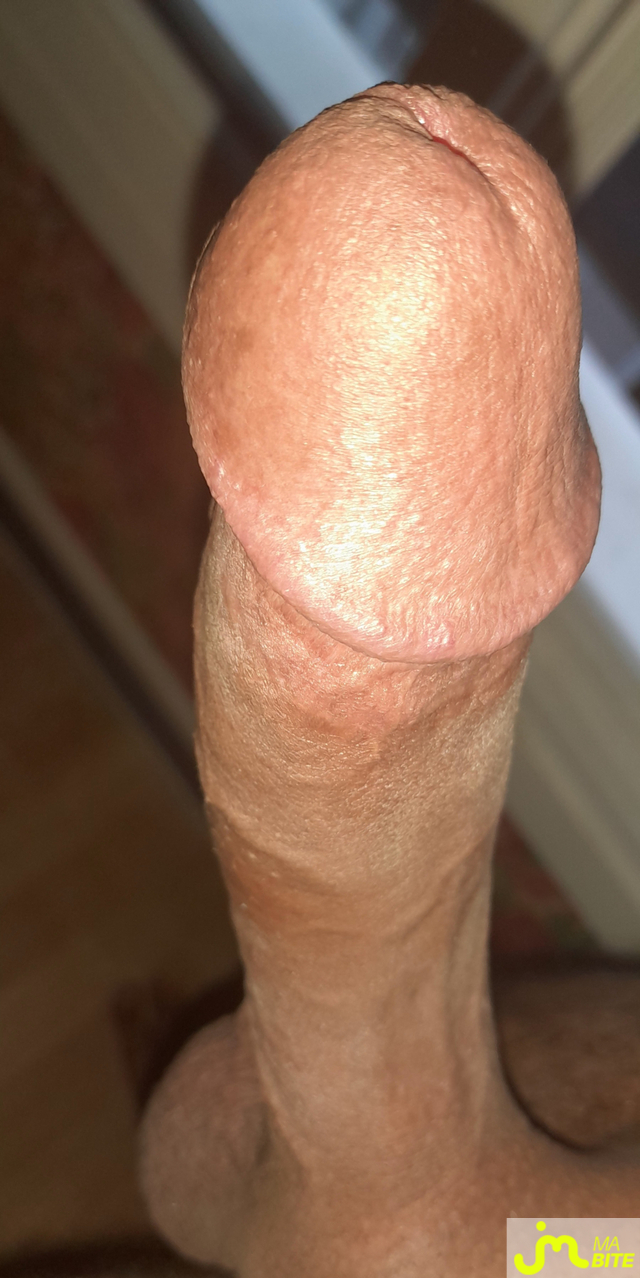 bites de &Eacute;rictismey