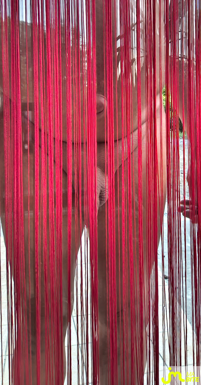 Photos de bites : Transparence 