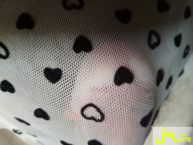 bites de Charlingerie