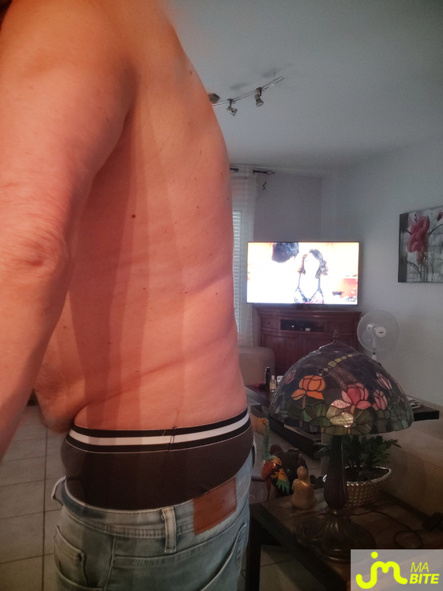 bites de Gagny