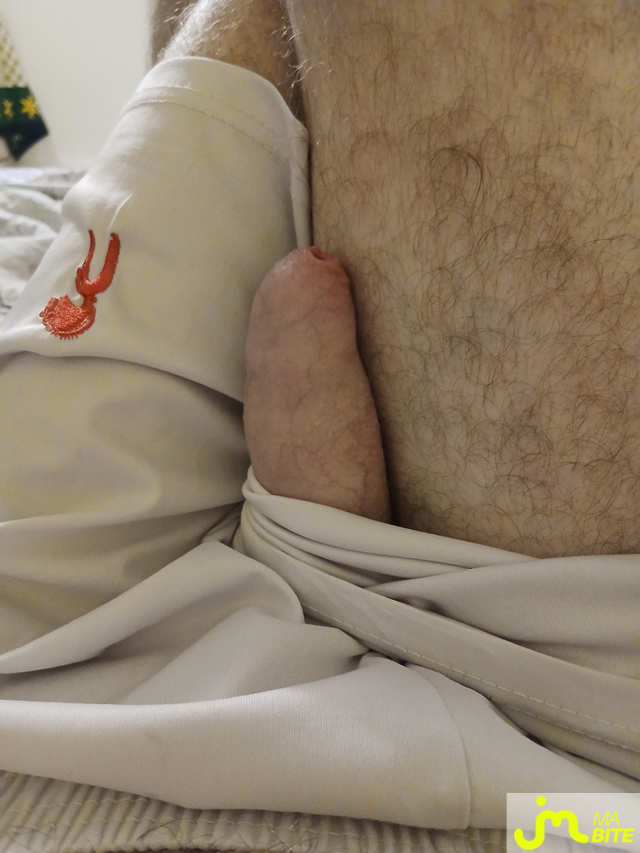 Photos de bites : On dirait que le tissu est mis &agrave; rude &eacute;preuve