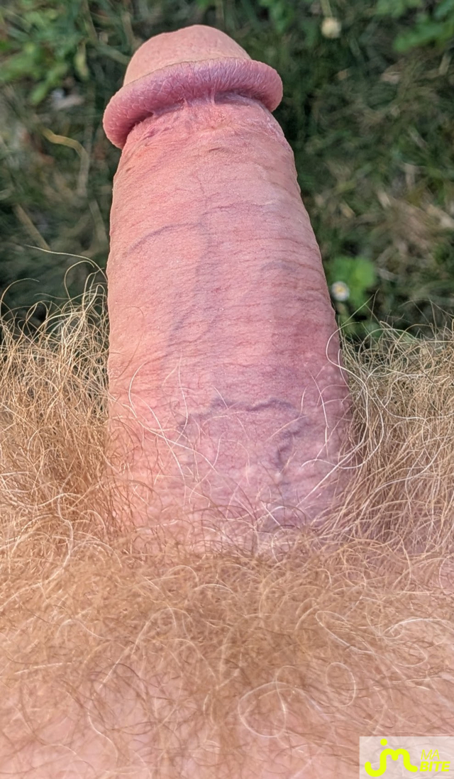 Photos de bites : Quel bonheur d'&ecirc;tre &agrave; poil