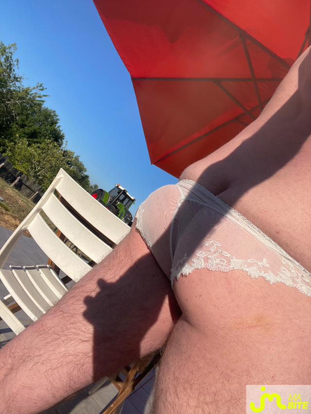 bites de Bulle51