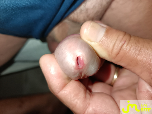 bites de Le Grand Houdini