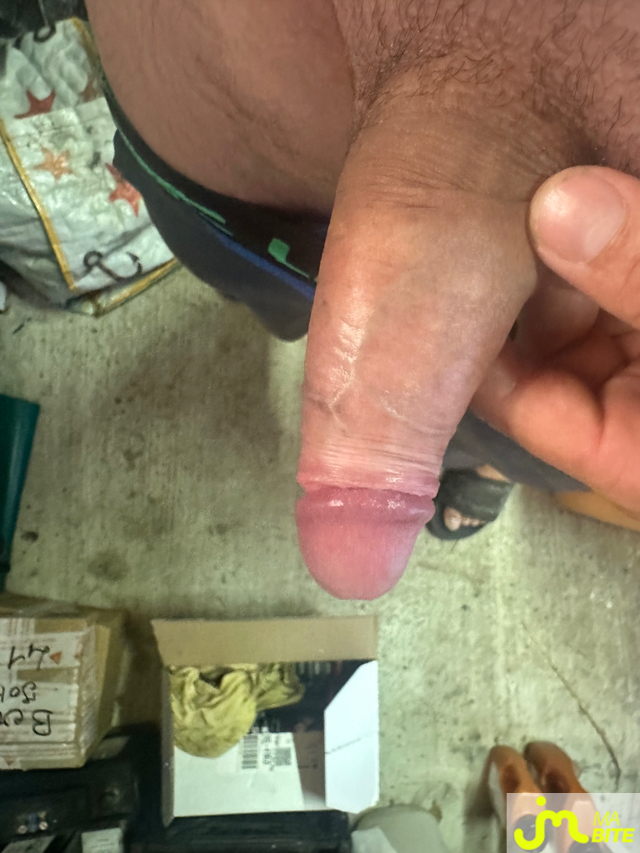 bites de Pierre41000