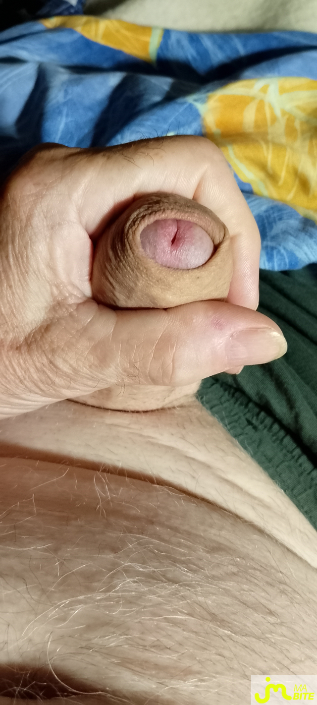 bites de Veys 59