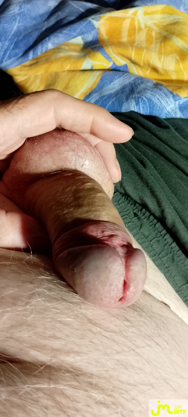 bites de Veys 59