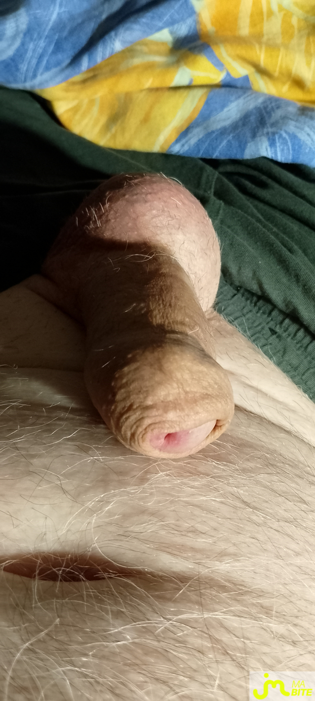 bites de Veys 59