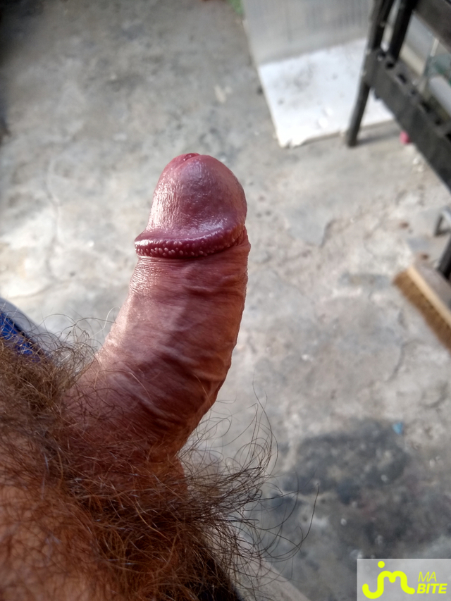 bites de Nono62138